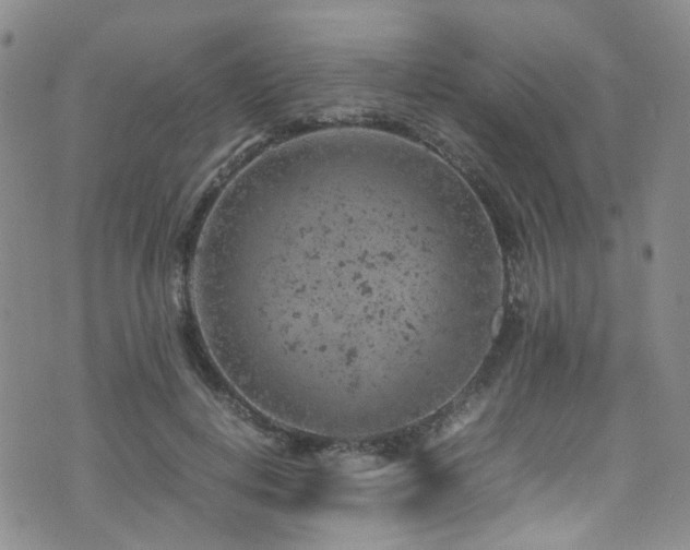 X0000072550648200607141254