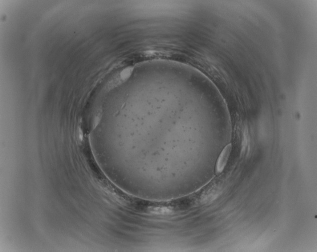 X0000072550649200607141254