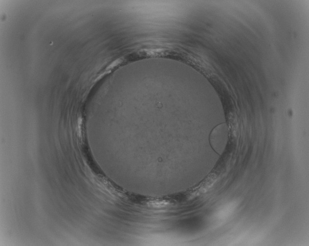 X0000072550650200607141254