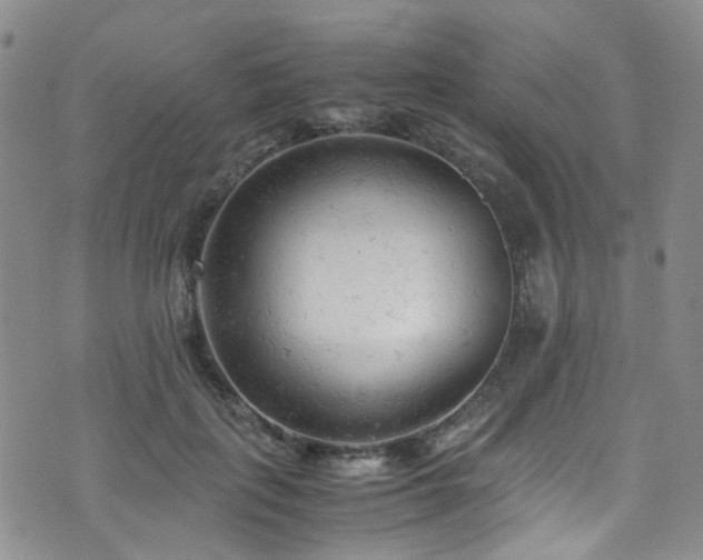 X0000072550651200607141254