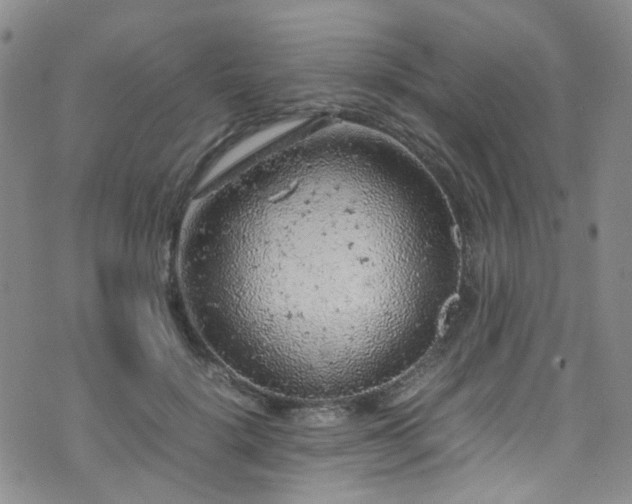 X0000072550652200607141254