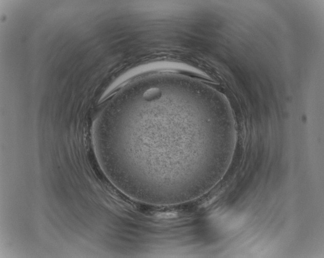 X0000072550653200607141254