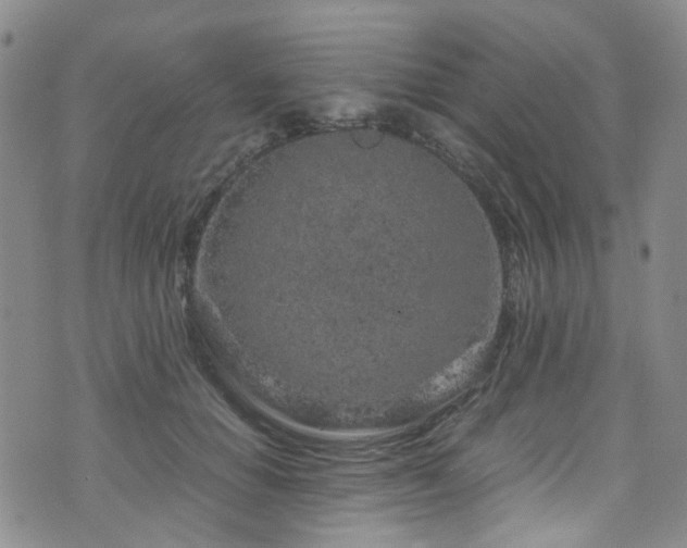 X0000072550654200607141254