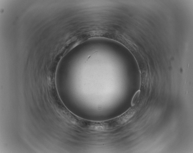 X0000072550655200607141254