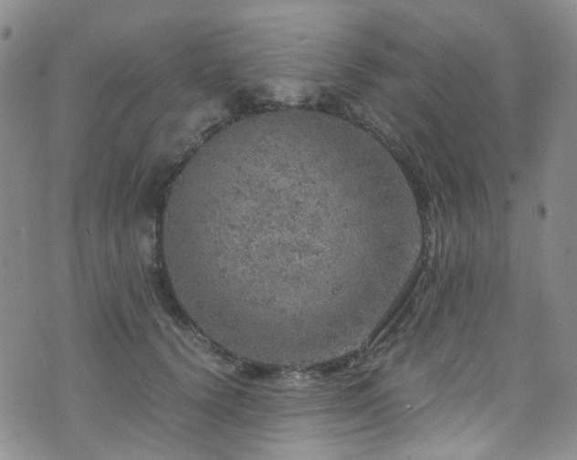 X0000072550656200607141254