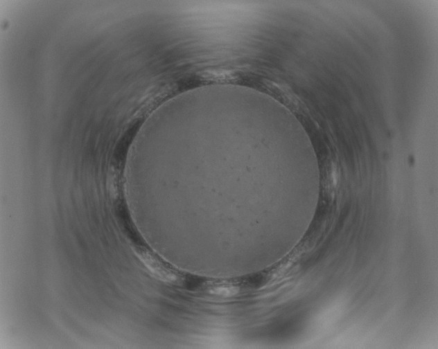 X0000072550658200607141254