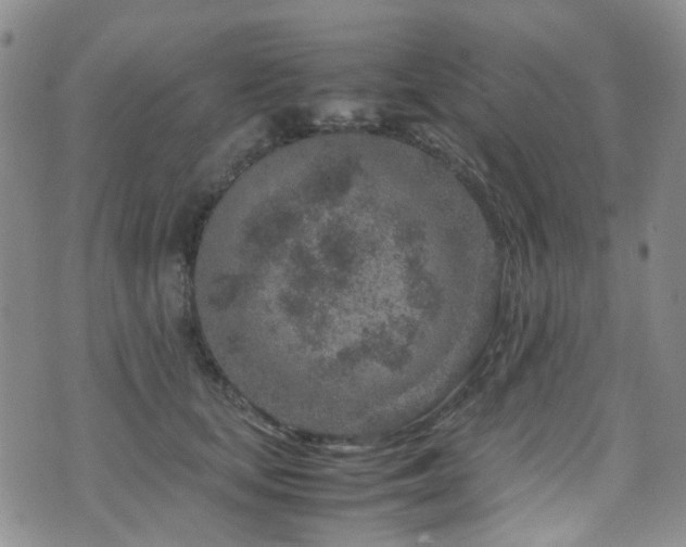 X0000072550659200607141254