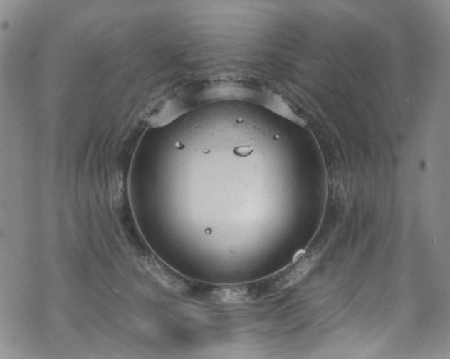 X0000072550660200607141254