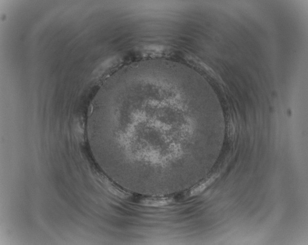 X0000072550661200607141254