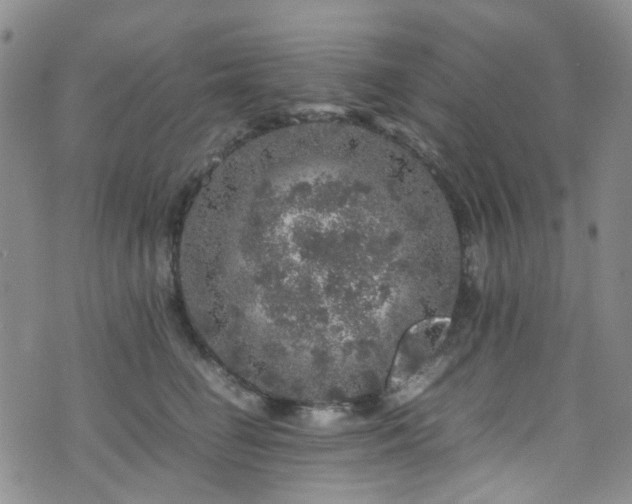 X0000072550662200607141254