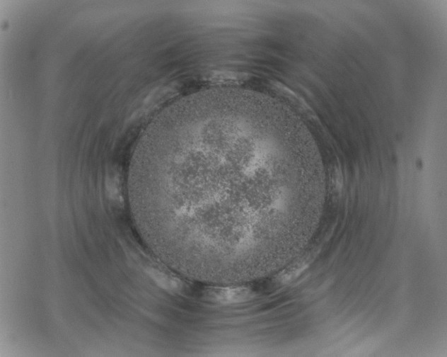 X0000072550663200607141254