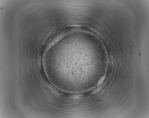 X0000072550664200607141254