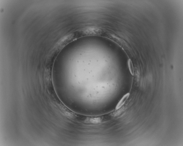 X0000072550665200607141254