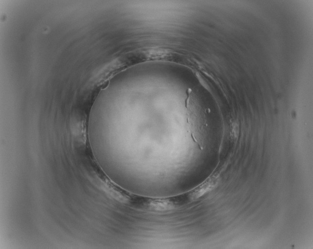 X0000072550666200607141254