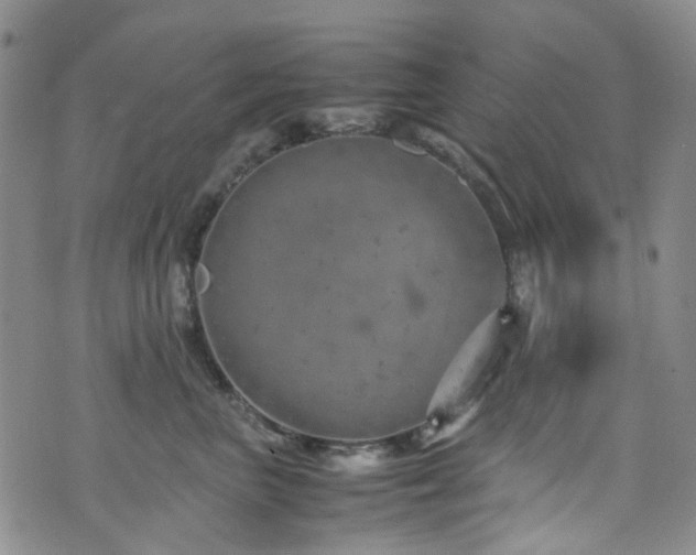 X0000072550667200607141254