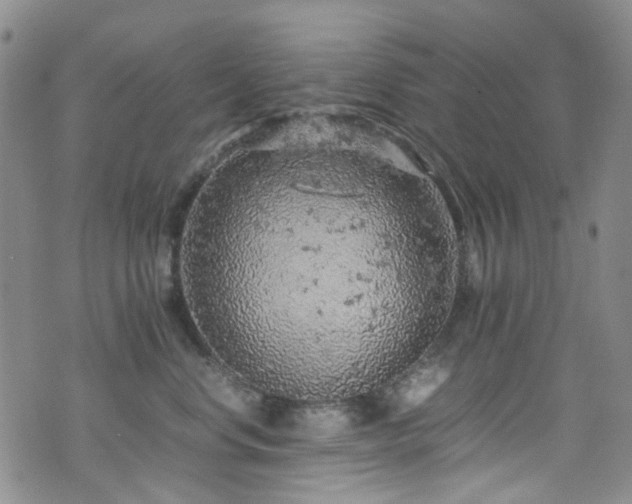 X0000072550668200607141254