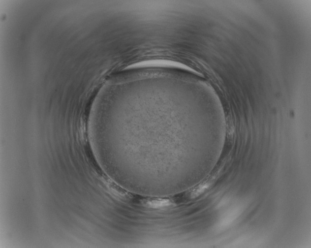 X0000072550669200607141254