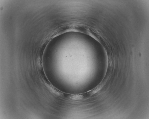 X0000072550670200607141254