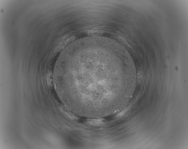 X0000072550671200607141254