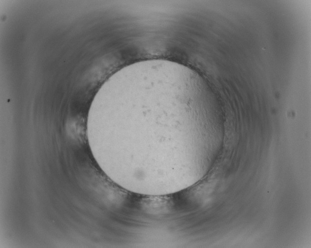 X0000072550672200607141254