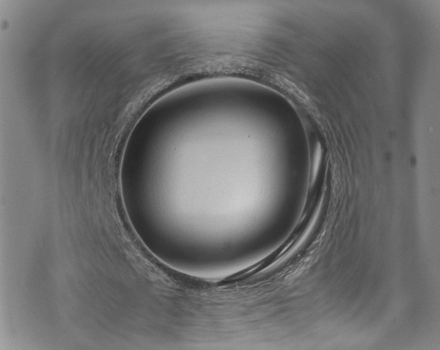 X0000072550673200607141253