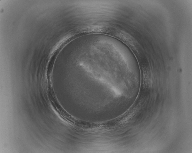 X0000072550674200607141253