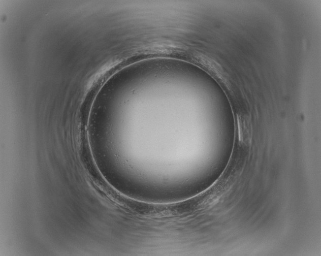 X0000072550675200607141253