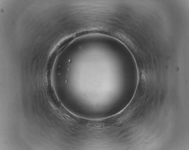 X0000072550676200607141253