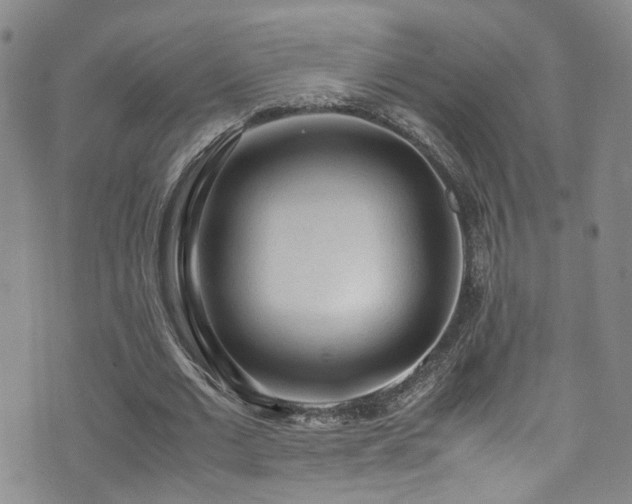 X0000072550677200607141253