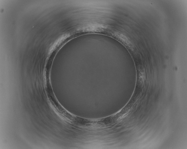 X0000072550678200607141253