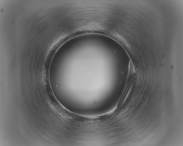 X0000072550680200607141253