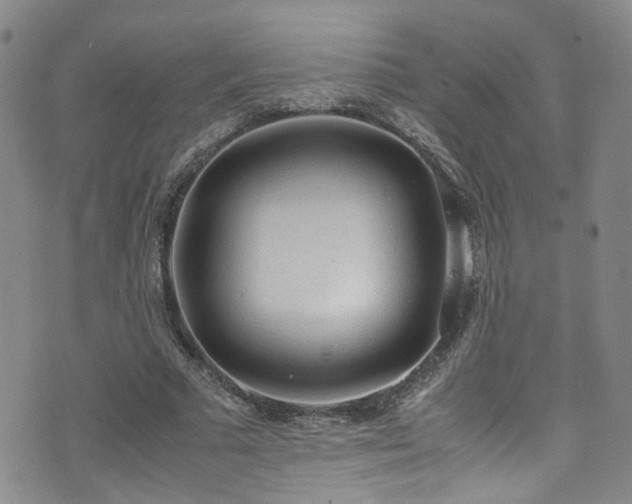 X0000072550681200607141253