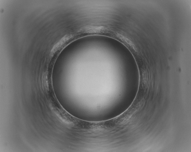 X0000072550682200607141253