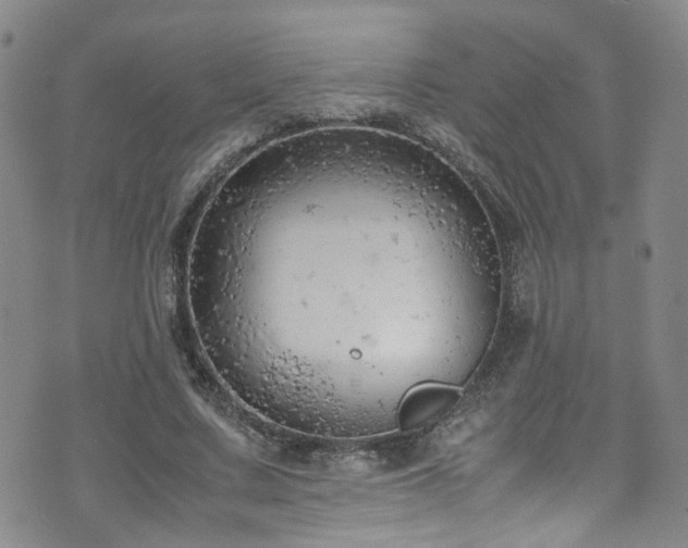 X0000072550683200607141253