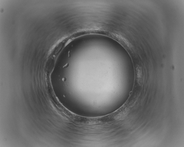 X0000072550684200607141253