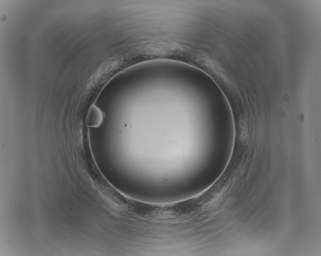 X0000072550685200607141253