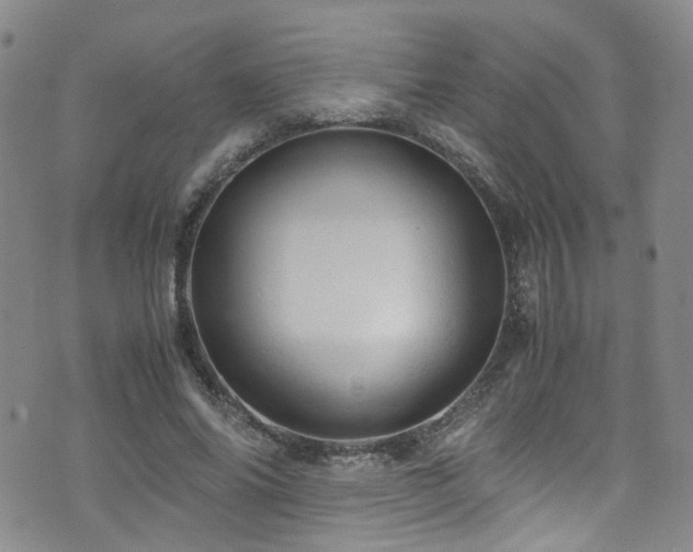 X0000072550686200607141253