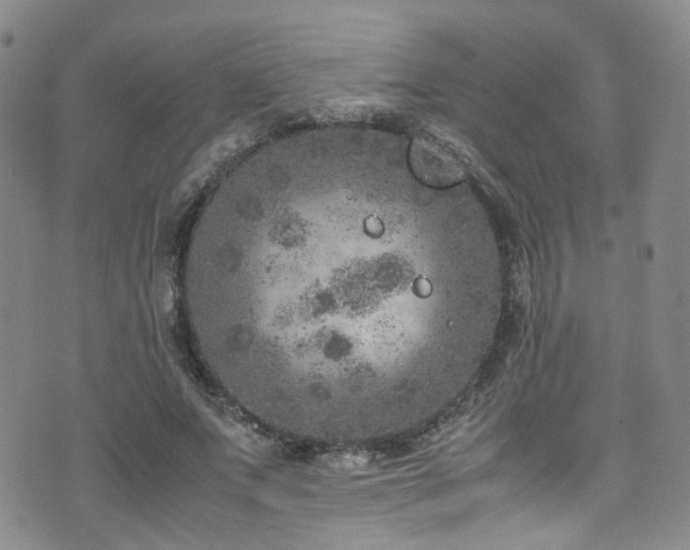 X0000072550687200607141253