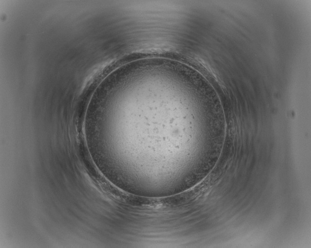 X0000072550688200607141253