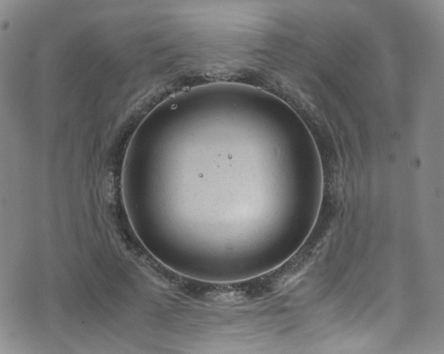 X0000072550689200607141253