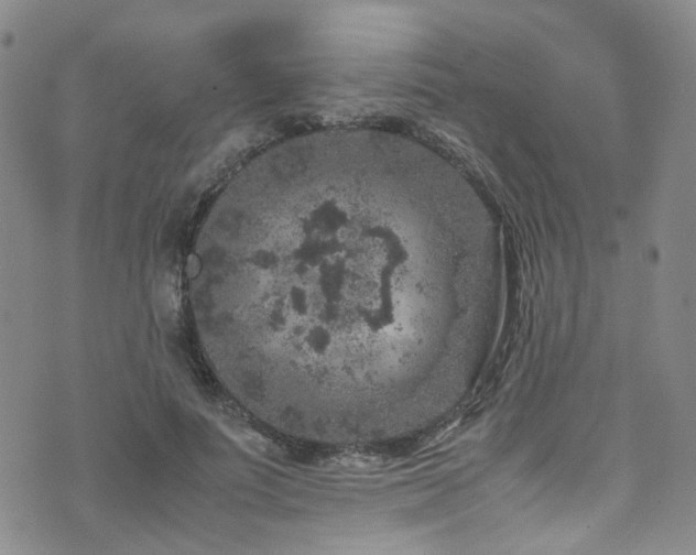 X0000072550691200607141253