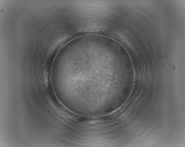 X0000072550692200607141253