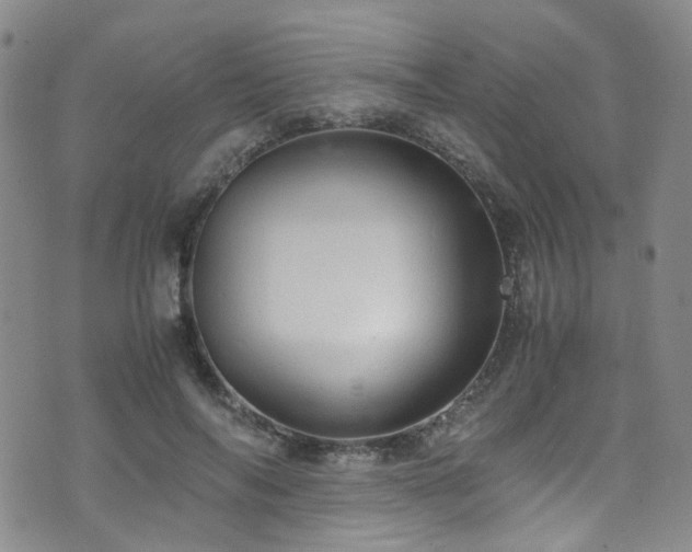 X0000072550694200607141253