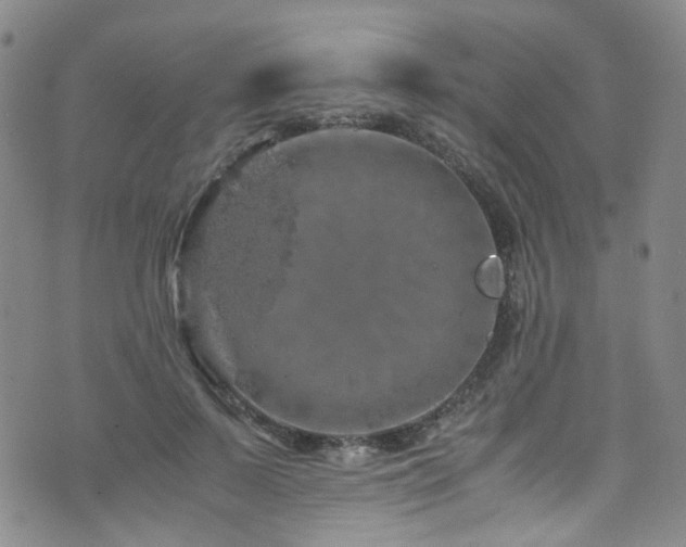 X0000072550695200607141253