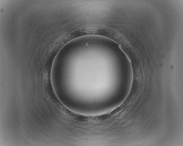 X0000072550697200607141253