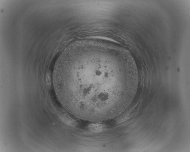 X0000072550699200607141253