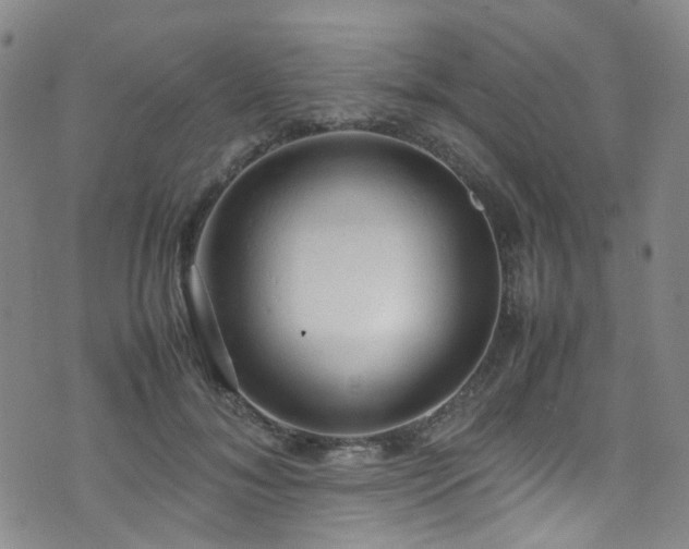 X0000072550700200607141253