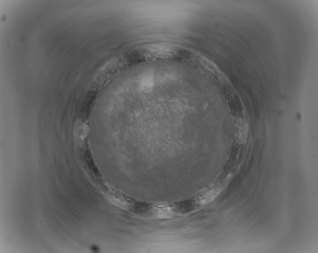 X0000072550701200607141253