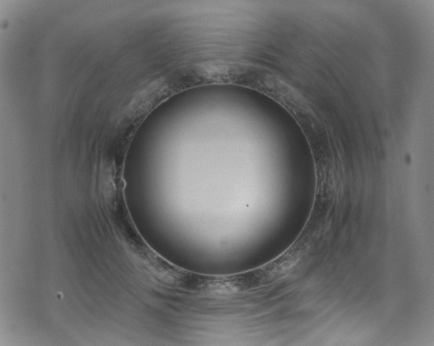 X0000072550702200607141253