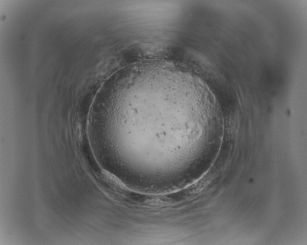 X0000072550703200607141253